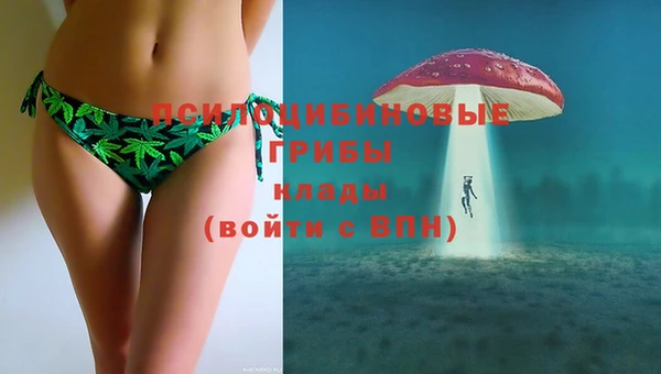 спиды Алексеевка