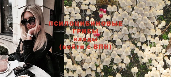 спиды Алексеевка