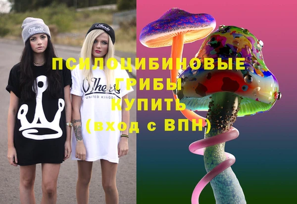 дурь Алзамай