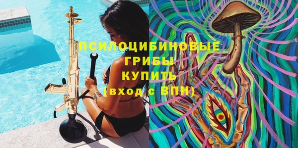 спиды Алексеевка