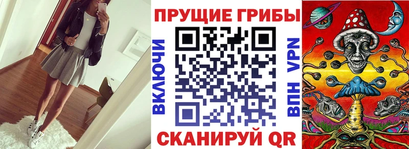 Псилоцибиновые грибы GOLDEN TEACHER  наркошоп  сайты даркнета состав  Отрадная 