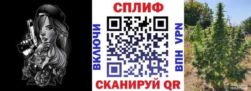 Шишки марихуана White Widow Отрадная